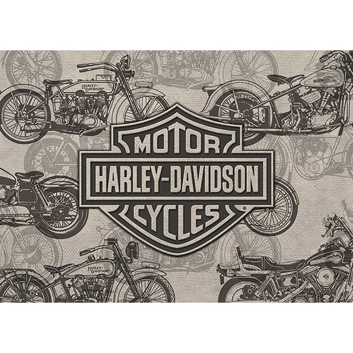 HARLEY DAVIDSON MOTORCYCLES-BLANK CARD