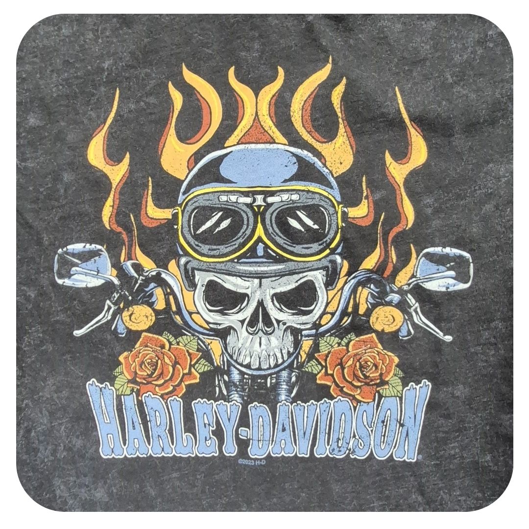 HARLEY DAVIDSON SKULL LIGHT LDS DYE