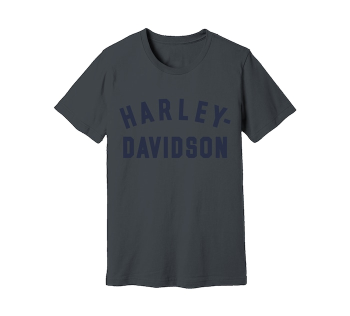 Harley Davidson Blackened Pearl Men's Staple Tee, Grey