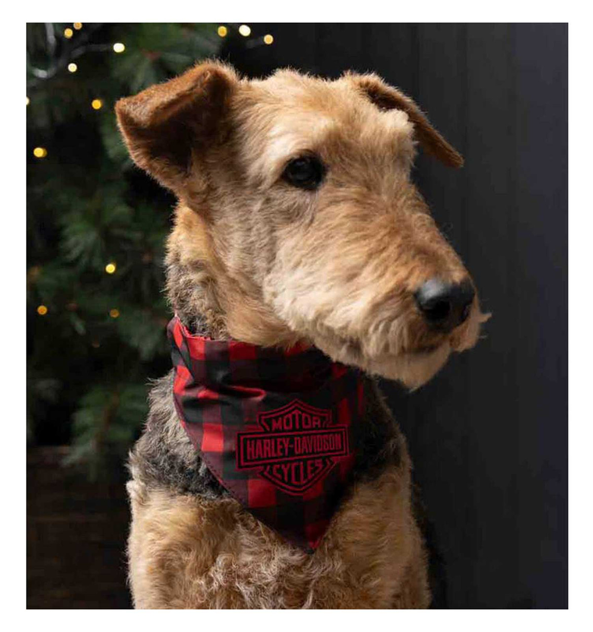 Bandana à carreaux Harley-Davidson® pour animaux – Petit/Moyen