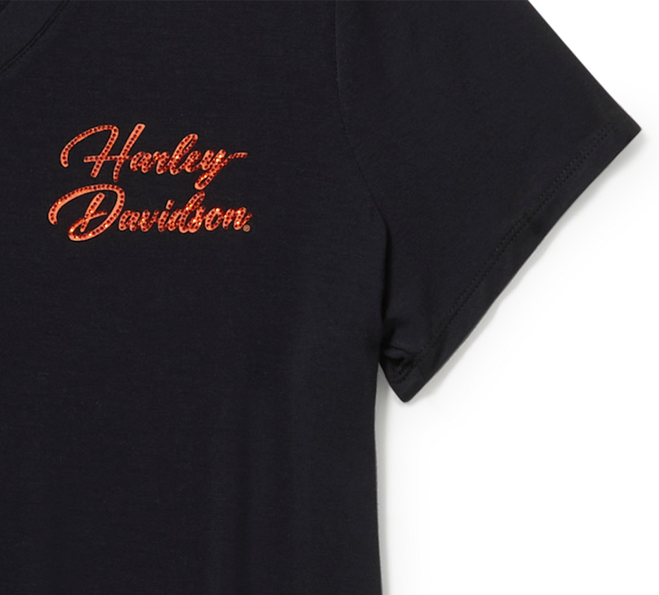 HARLEY DAVIDSON TEE-KNIT,BLACK
