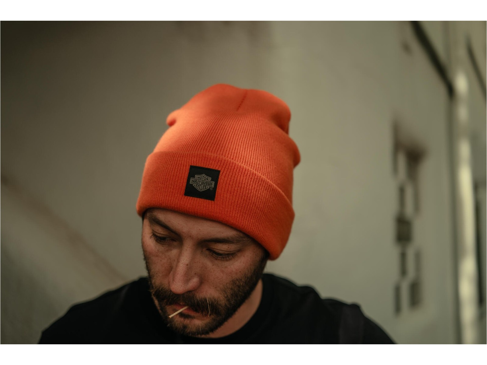 HARLEY DAVIDSON BEANIE-KNIT,ORANGE