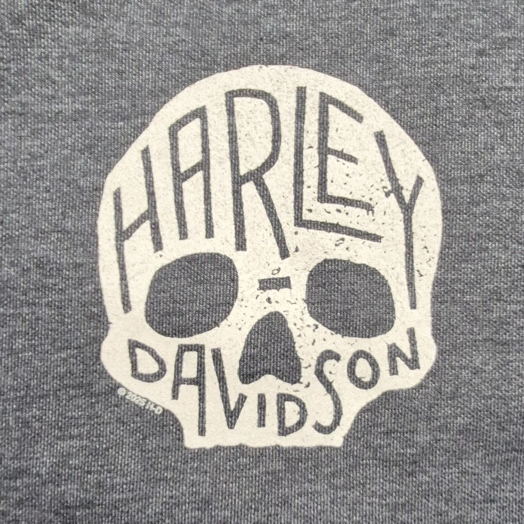 Chandail à capuchon Harley-Davidson® Skull Stone – HD Rimouski