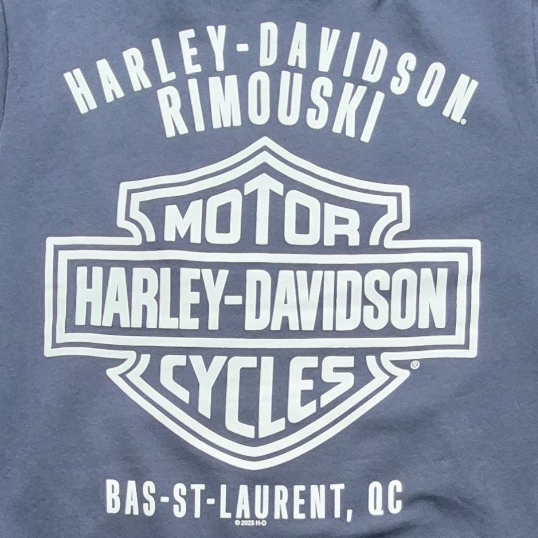 HARLEY DAVIDSON HD BANDANA B&S MNS HD PO SWT MOOD INDIGO