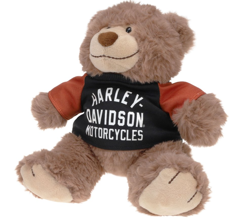 Ourson en peluche « Big Ed »