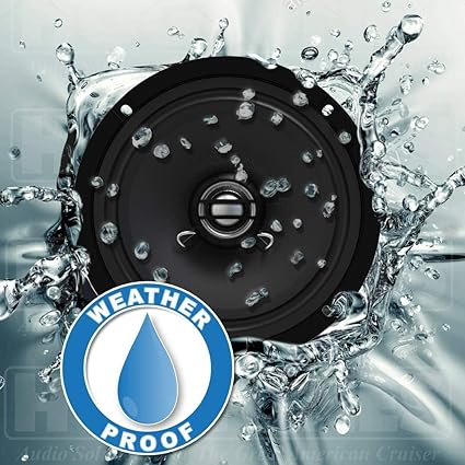 Hogtunes G4 RG KIT-RM avec amplificateur RMS 225W