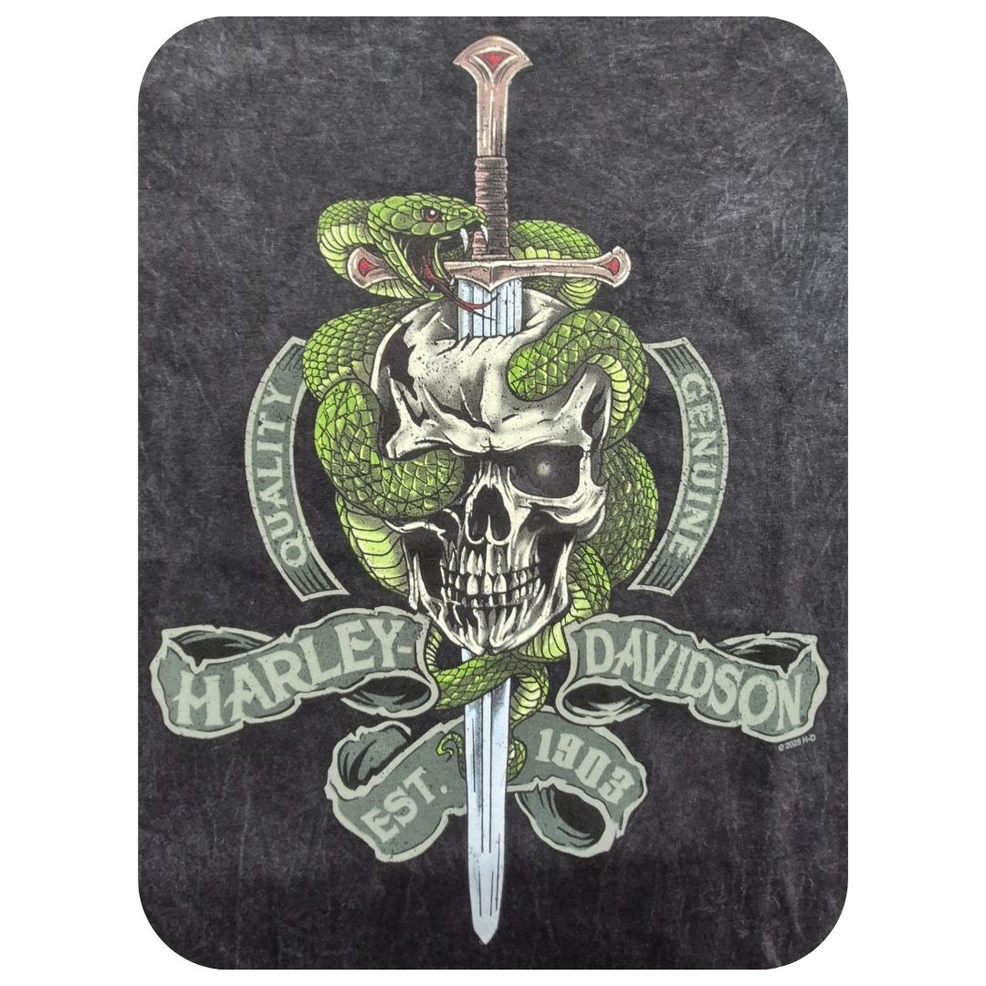 HARLEY DAVIDSON T-shirt Sword Skull Harley-Davidson® – HD Rimouski
