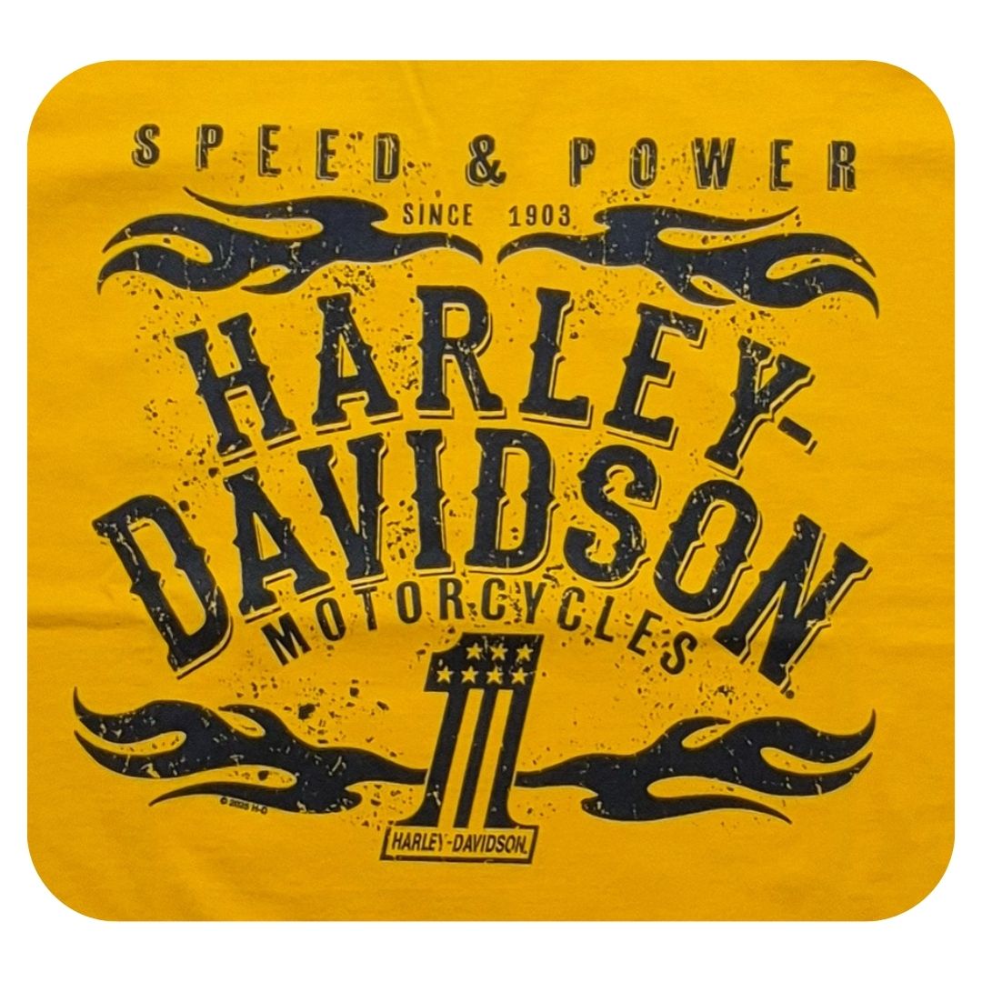 HARLEY DAVIDSON T-shirt Power Flames Harley-Davidson® – HD Rimouski