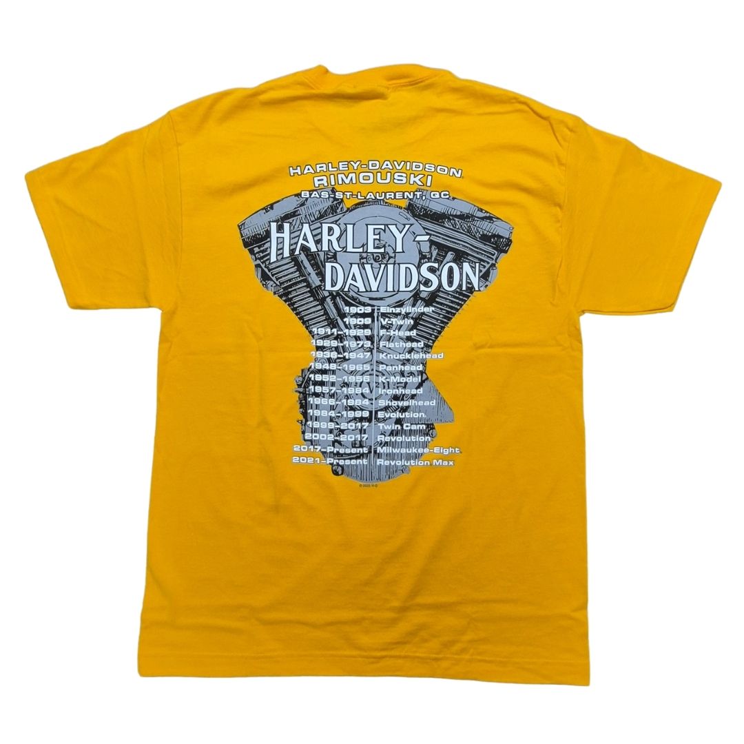 HARLEY DAVIDSON T-shirt Power Flames Harley-Davidson® – HD Rimouski