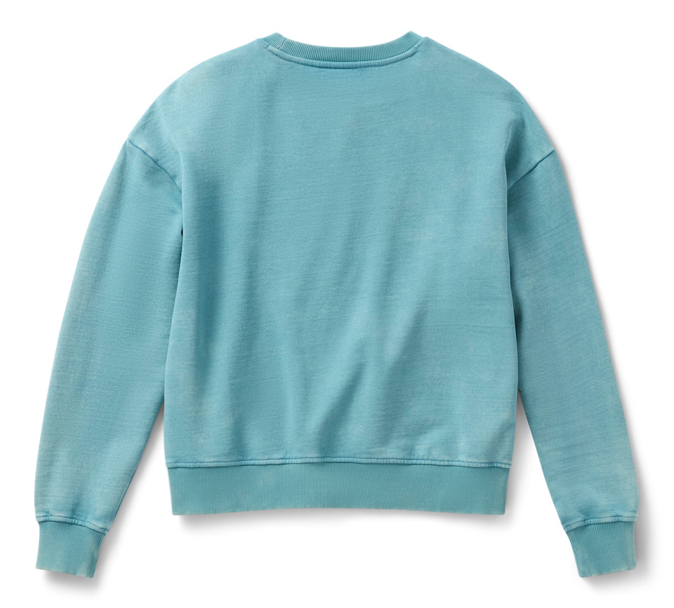 HARLEY DAVIDSON SWEATSHIRT-KNIT,TEAL BLUE