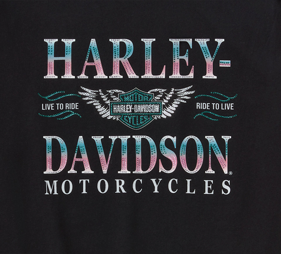 HARLEY DAVIDSON TEE-KNIT,BLACK