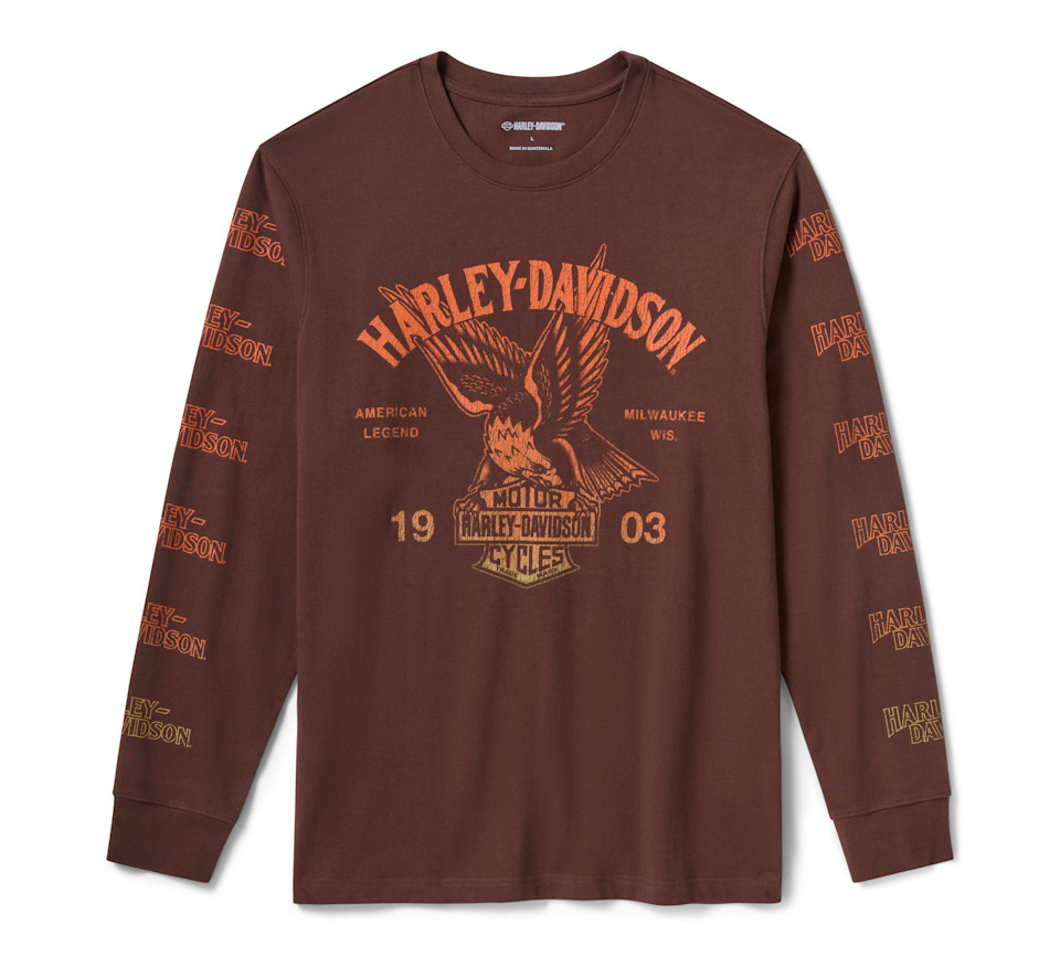 HARLEY DAVIDSON TEE-KNIT,BROWN